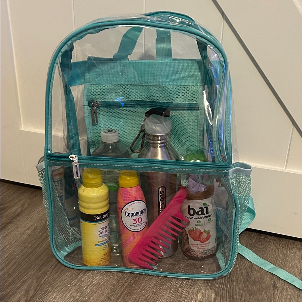 Clear Teal Backpack for Home Storage & Organization